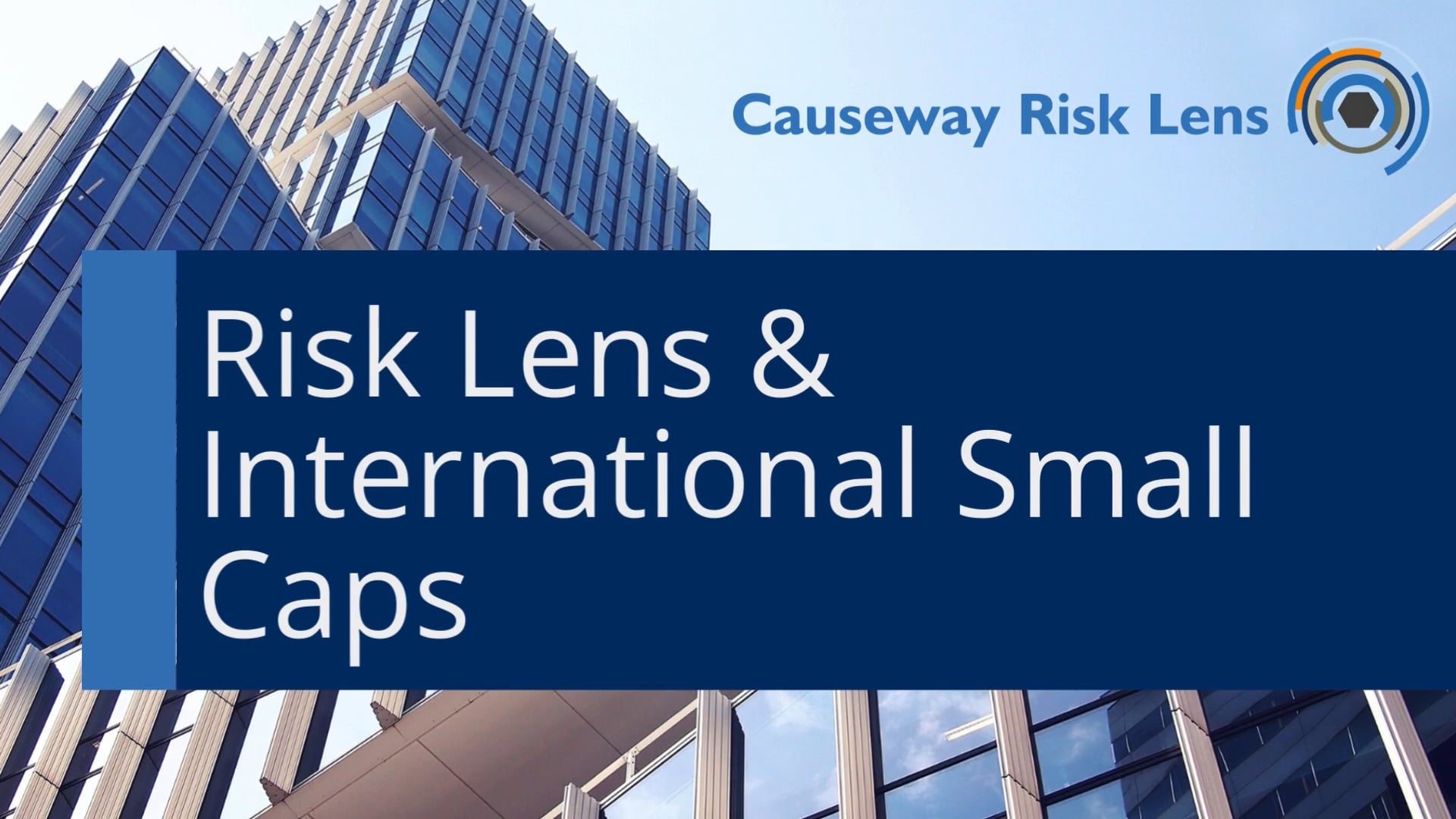 Risk Lens International Small Cap findings
